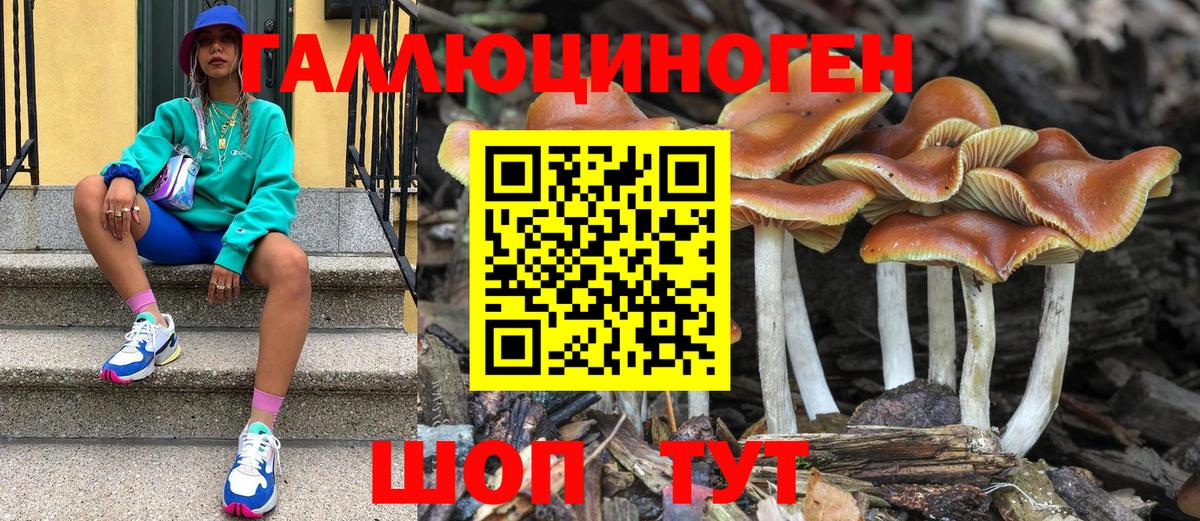 Галлюциногенные грибы Magic Shrooms Кулебаки